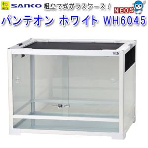 GEX クリアフロント80 : 熱帯魚通販のネオス - 通販 - Yahoo!ショッピング