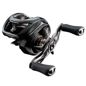 DAIWA（ダイワ） 24 スティーズ SV TW 100XHL 左ハンドル (2024年