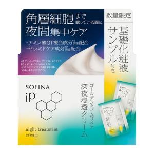 SOFINA iP ソフィーナ 角層トリートメント 基礎化粧液 BIG ポンプ