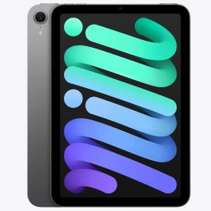 Apple iPad mini 第7世代 Wi-Fi 256GB MXNA3JA スペースグレイ【お