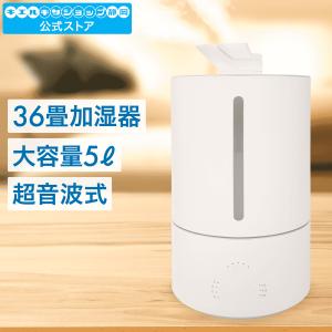 日立（HITACHI） HLF-Z5000 次亜塩素酸加湿器 ピュアクリエ