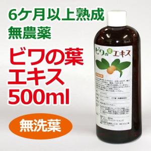6ケ月以上熟成無農薬濃厚ビワの葉エキス（洗葉 濃厚タイプ）500ml 健康