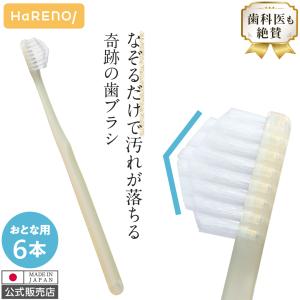 奇跡の歯ブラシ ポケットイン 10本セット 正規品 ピラミッド型 すき間