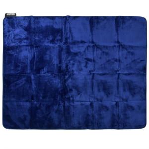 Panasonic（パナソニック） 電気カーペットセット 3畳相当 DC-3NKC10-T