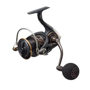 DAIWA（ダイワ） 【目玉商品】ダイワ 23 BG SW 6000D-P (2023年モデル
