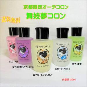 ハダメキミライ リンクルケア 美白リキッドファンデーション ライト