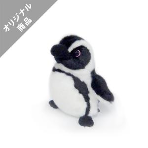 オオサンショウウオぬいぐるみ〈M〉 : 京都水族館 オンラインショップ