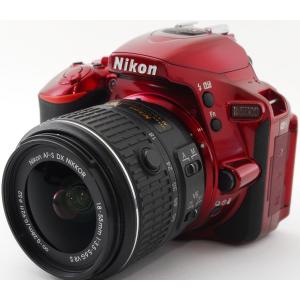 ニコンD ニコン Nikon D5300 AF-P ダブルズームキット デジタル一眼