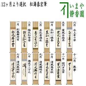 茶道具 掛軸 掛け軸 一行 松樹千年翠 前田宗源筆 茶道 : 茶道具いまや
