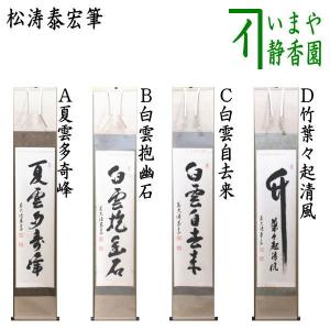 茶道具 掛軸 掛け軸 待合掛け 小幅 一行画賛 直下三千丈 西垣大道筆 瀧