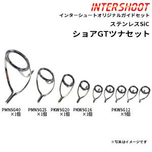 Fuji ショアジギング ガイドセット ステンレスSiC PKWSG308-IS