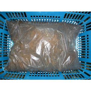 神長きのこ園製s8カンタケ1400cc : insectGreenHouse - 通販