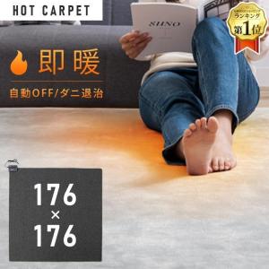 ホットカーペット 1.5畳 本体 TEKNOS 125×180cm おしゃれ 節電 ダニ