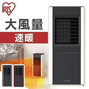 Panasonic（パナソニック） DS-FTS1201-R セラミックファンヒーター