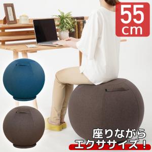 テクノジム アクティブシッティング バランスボールチェア 55cm