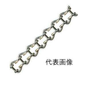 ニッサチェイン ニッサ ステンレス ラダーチェーン 2mm×10m SR220