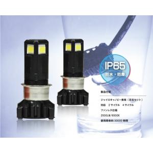 マルチリフレクター ヘッドライト ジャイロ ジャイロキャノピー 専用