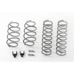 カヤバ アルテッツァ SXE10/GXE10 スプリング ダウンサス セット LHS