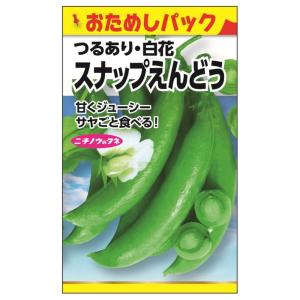 えんどう スナップえんどう(お徳用パック) 種・小袋 （120粒） 固定種