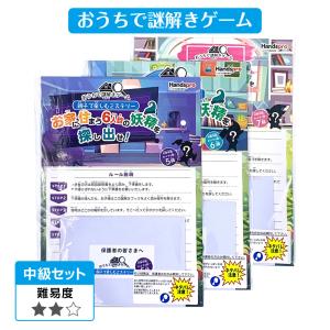 データカウンター接続ユニット付 LダーリンインザフランキスSA 中古