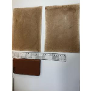 試せるラジウム効果 2枚セット 生体ラジウムシートS 名刺サイズ