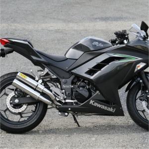 ツルノテクニカルサービス NINJA250 NINJA250R デュアルレーシング