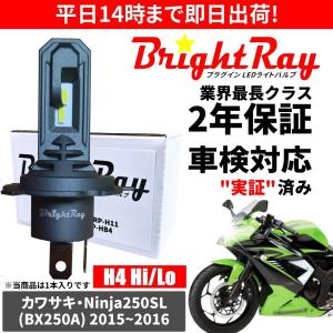 BrightRay(ブライトレイ) カワサキ ZRX1200 R S DAEG対応 ZRT20A