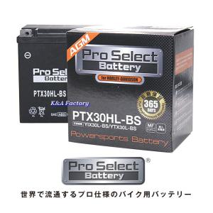 Harley Davidson（ハーレー・ダビッドソン） HD 66000212A 旧 66010