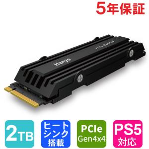 SPD SPD SSD 2TB M.2 2280 PCIe Gen4x4 NVMe 3D NAND ヒートシンク搭載