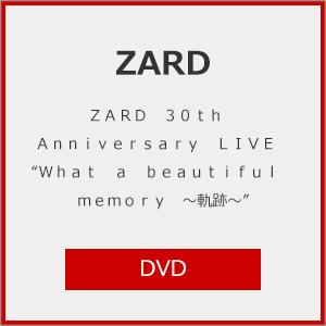 ZARD 35周年記念キャンペーン特典付]ZARD 30周年記念ライブ『ZARD 30th