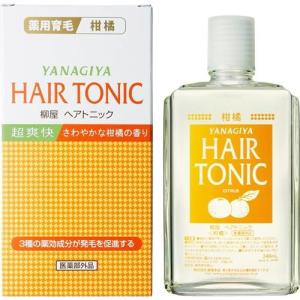 SHISEIDO（資生堂） アウスレーゼ ヘアブローN 180mL 整髪料 : フジ