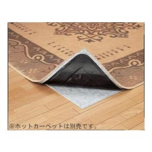 Panasonic（パナソニック） DC-2JN ホットカーペット 本体のみ 2畳用