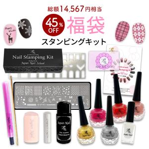 数量限定 2026福袋】ジェルネイル ブレンドグリッター12色セット 日本