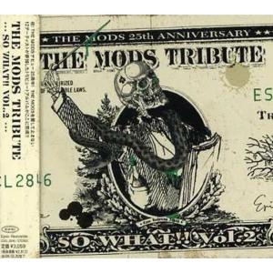 ザ・ベスト・オブ・ティー・ヴィー~フィーチャリング葛城哲哉 : ユーズ