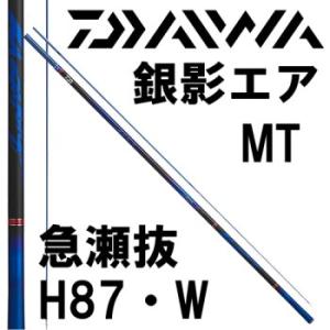 DAIWA（ダイワ） 鮎竿 銀影競技 メガトルク 急瀬抜 95・Q（2022年新