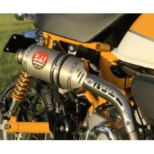 XRV750 アフリカツイン GP1 ステンレス スリップオンマフラー MASS