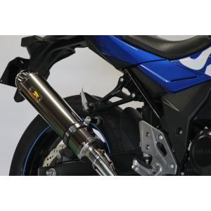 GSX Realize GSX250R バイクマフラー 2BK-DN11A 8BK-DN12B 2017〜2021