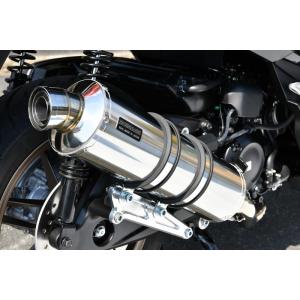 BEAMS G1010-53-008 FORZA フォルツァ 8BK-MF17 2023~ R-EVO