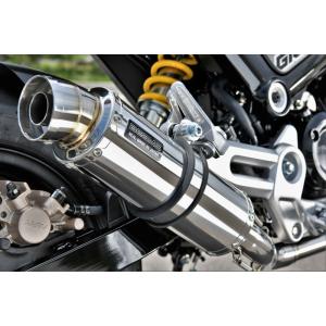 BEAMS（ビームス） バイク用 フルエキゾーストマフラー R-EVO チタン
