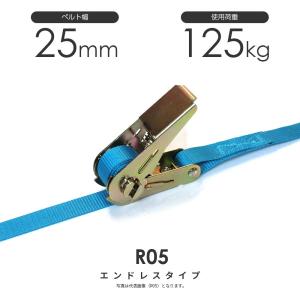 日本製 カムバックル式 C03N 25mm 75kg ラッシングベルト エンドレス