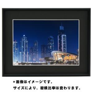 フジカラー アルミ額縁 A300 全紙 《納期約1−2週間》 : カメラの