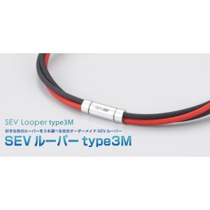 SEV（セブ） ルーパータイプ3Ti / SEV Looper type3Ti☆送料無料