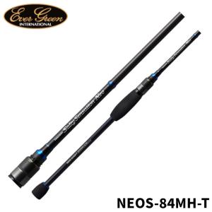 TENRYU テンリュウ ルナキア LK822S-HT スピニング 2ピース アジ あじ