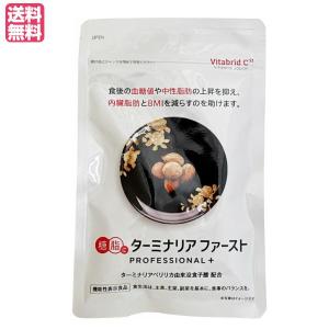 ターミナリアファースト プロフェッショナル4 [ リニューアル最新版