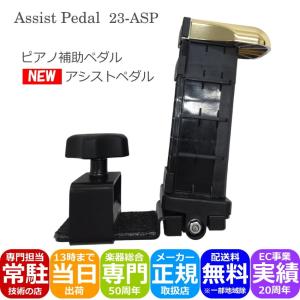 甲南 ピアノ補助ペダル：イージーペダル CA-900(CA900) ペダル