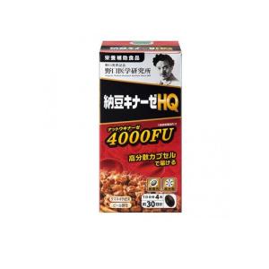 野口医学研究所 納豆キナーゼHQ ナットウナーゼ4000FU 120粒 賞味期限