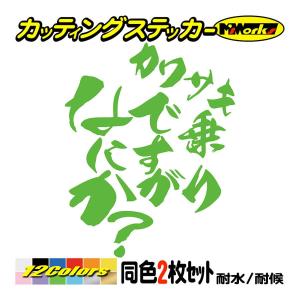 バイク ステッカー ZZR乗りですがなにか？(カワサキ KAWASAKI)(2枚1
