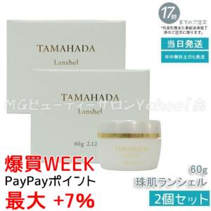 TBC epiplus エピプラス CSモイスチュアシートDX 2枚入り×20袋（ジェル