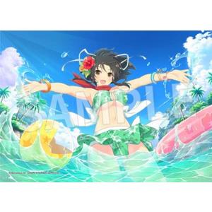 1カートン】ヴァイスシュヴァルツロゼ ブースターパック 異種族