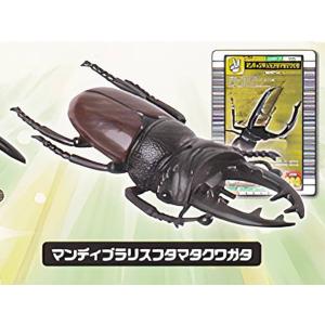 マンディブラリスフタマタクワガタ】 甲虫王者ムシキング ムシ